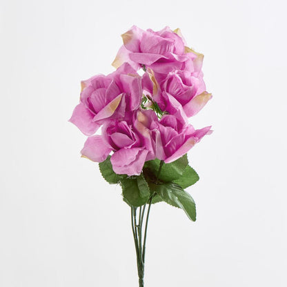 Rose Bush C Asstd Box of 60
