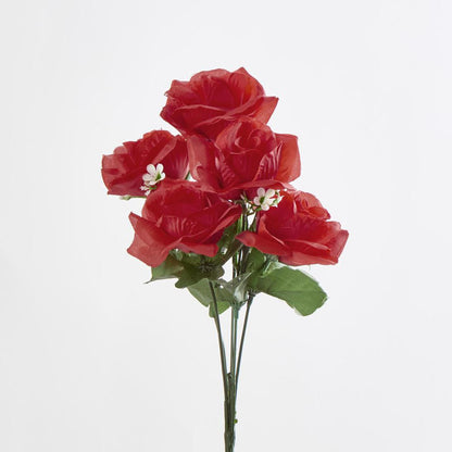 Rose Bush C Asstd Box of 60