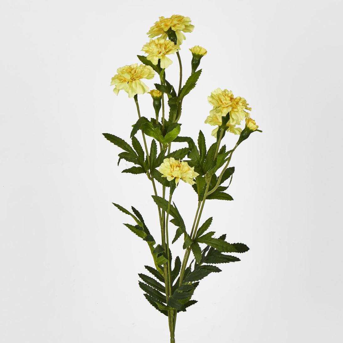 Marigold Spray Yellow
