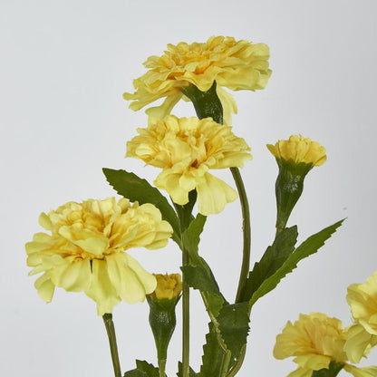 Marigold Spray Yellow