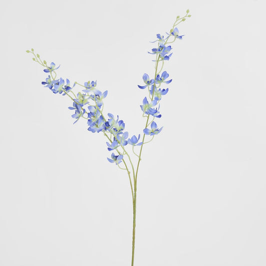 Dendrobium Spray Blue