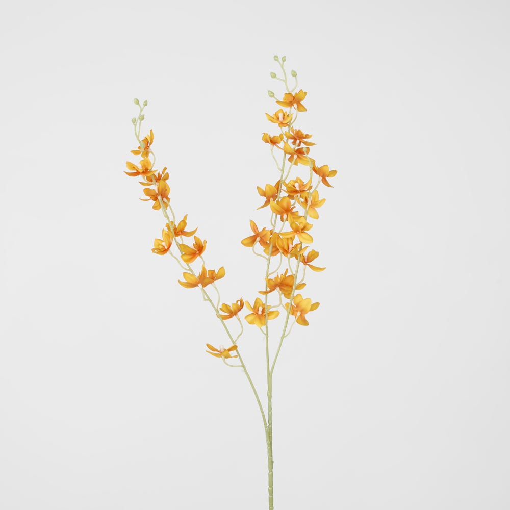 Dendrobium Orchid Spray Orange