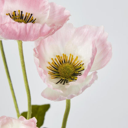 Mini Poppy Spray Light Pink
