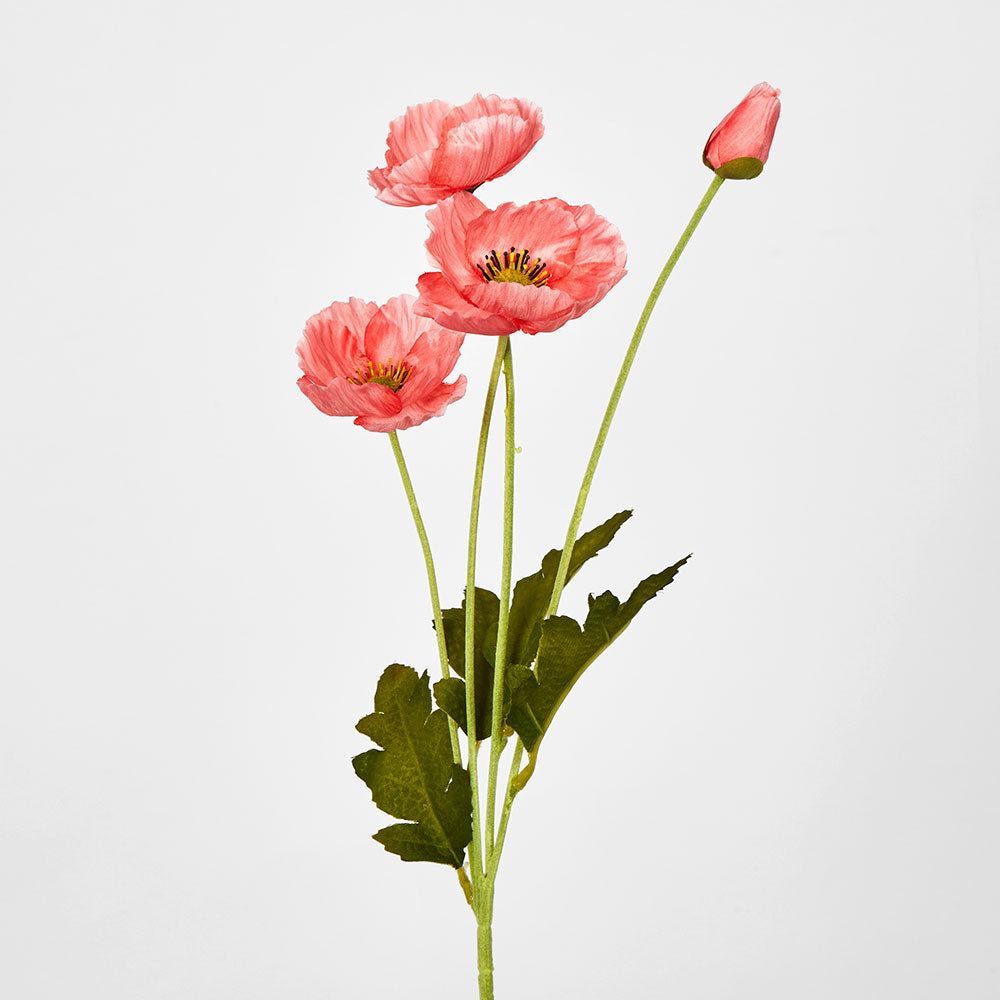Mini Poppy Spray Pink