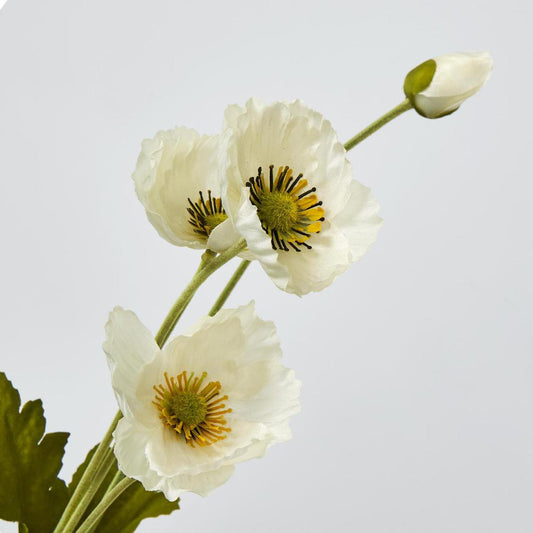 Mini Poppy Spray White