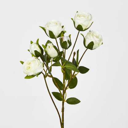 Rosebud Spray 7 Heads White