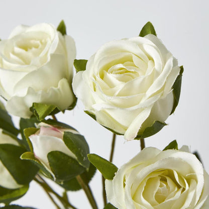 Rosebud Spray 7 Heads White