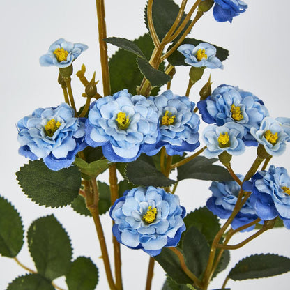 Burma Rose Spray Blue