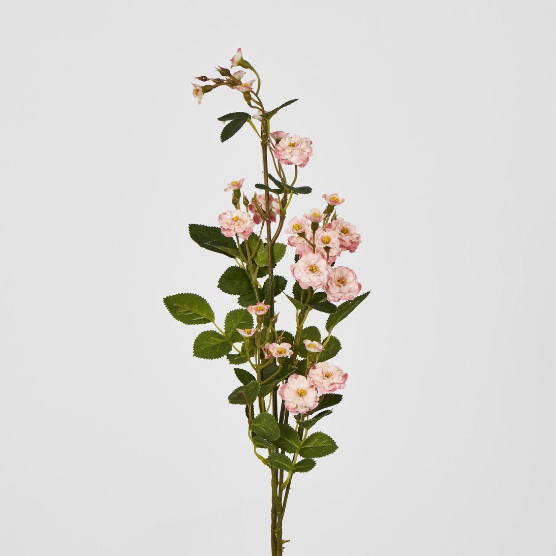 Burma Rose Spray Pink