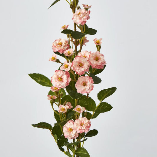 Burma Rose Spray Pink