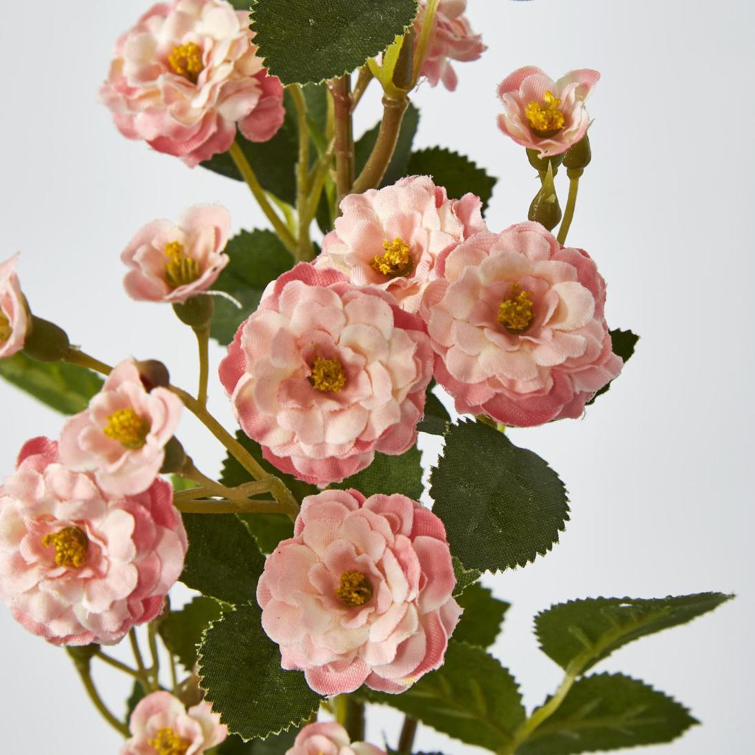 Burma Rose Spray Pink