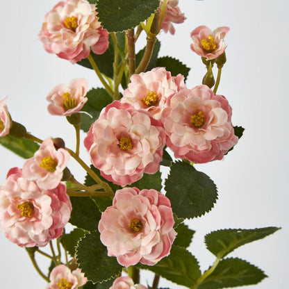 Burma Rose Spray Pink