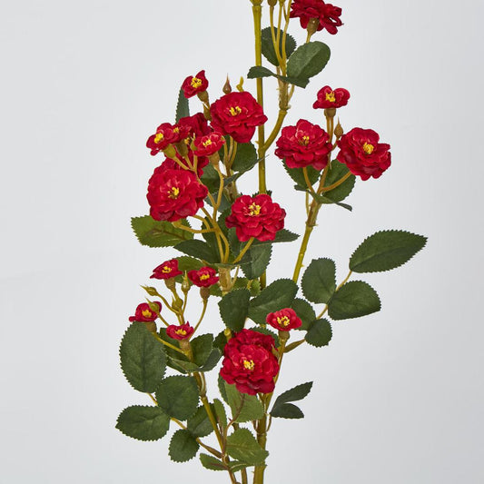 Burma Rose Spray Red