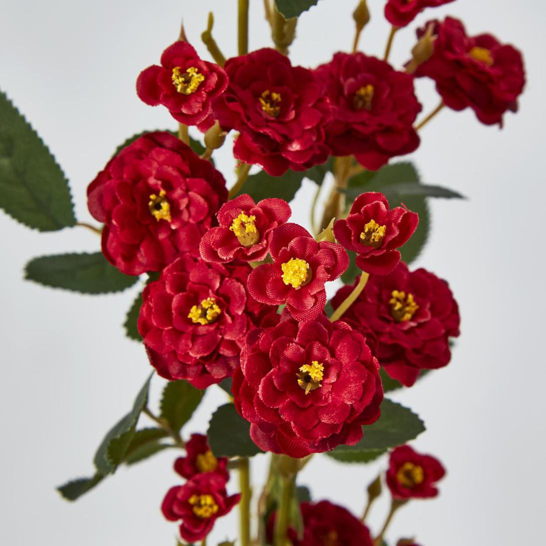 Burma Rose Spray Red
