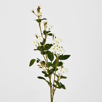 Pom Pom Rose Spray White