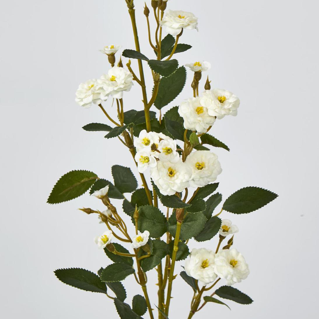 Pom Pom Rose Spray White