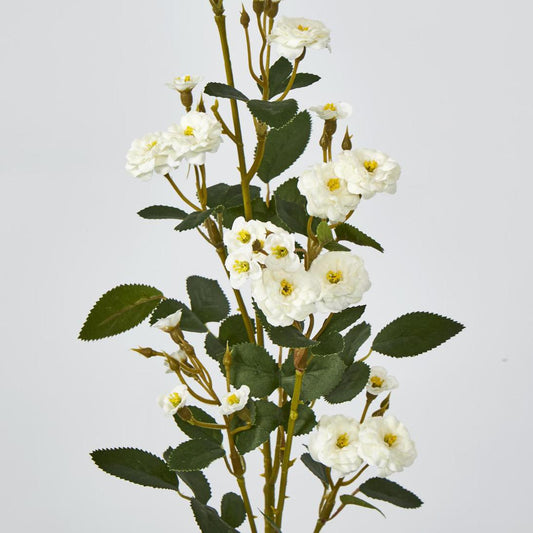 Pom Pom Rose Spray White