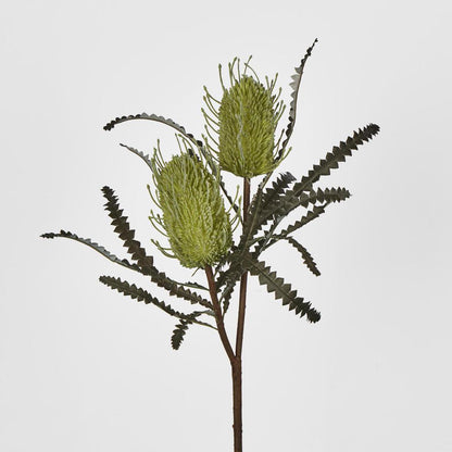 Banksia Double Spray Green