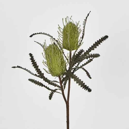 Banksia Double Spray Green