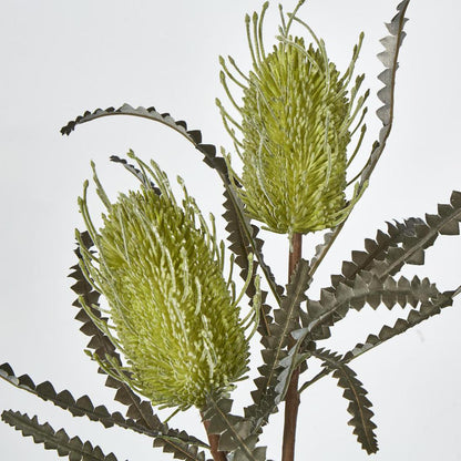 Banksia Double Spray Green