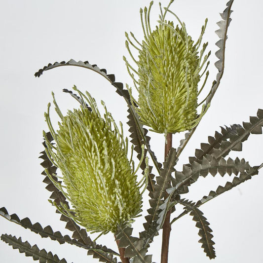 Banksia Double Spray Green