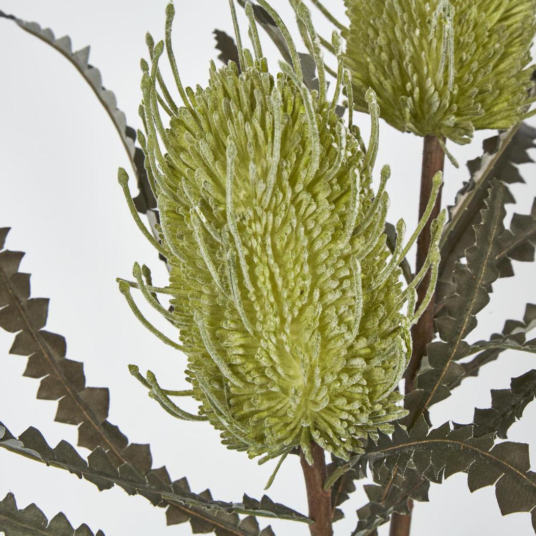 Banksia Double Spray Green