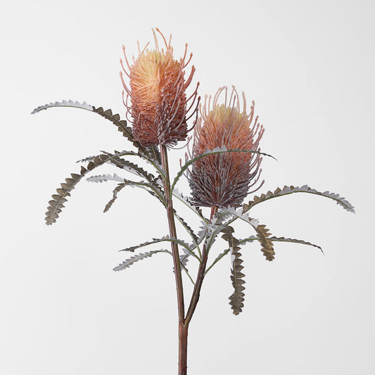 Banksia Double Spray Orange