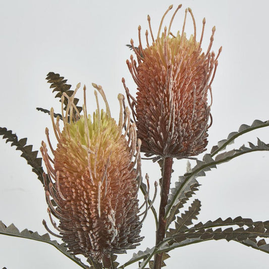 Banksia Double Spray Orange