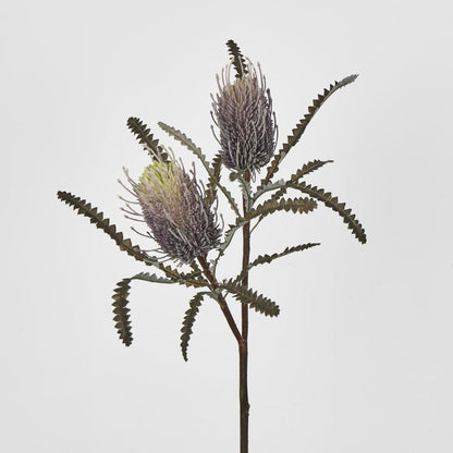 Banksia Double Spray Purple