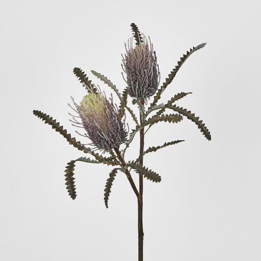 Banksia Double Spray Purple