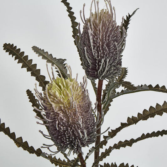 Banksia Double Spray Purple