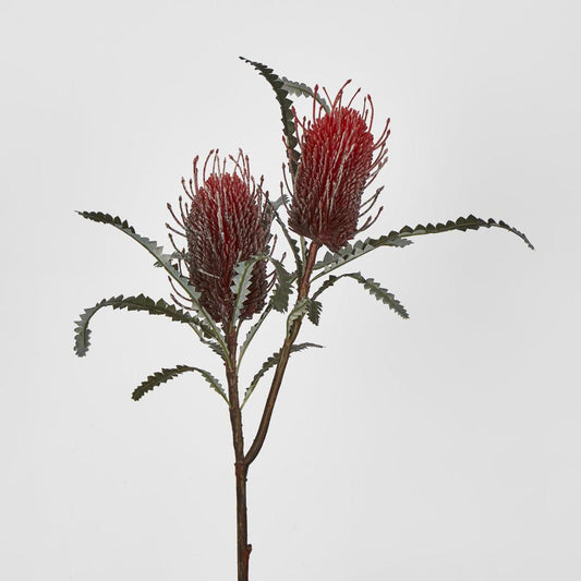 Banksia Double Spray Red