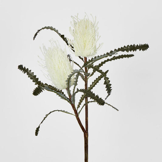 Banksia Double Spray White