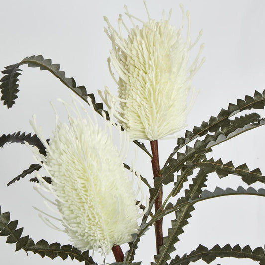 Banksia Double Spray White