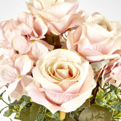 Rose and Hydrangea Bush Pink