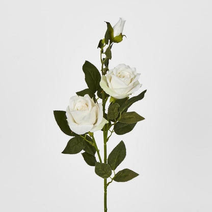 Rose Spray Cream