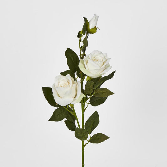 Rose Spray Cream