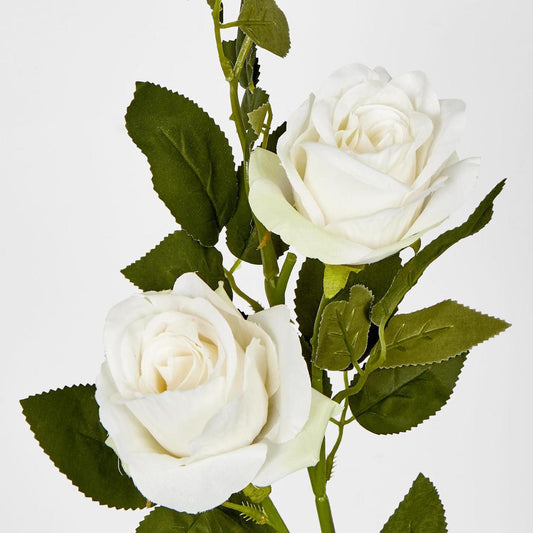 Rose Spray Cream