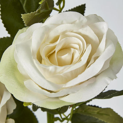 Rose Spray Cream