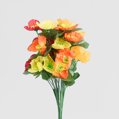 Poppy Bush Asstd Box of 60