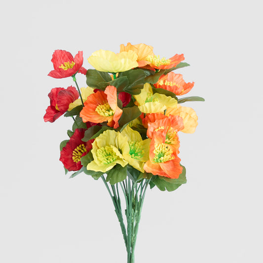 Poppy Bush Asstd Box of 60