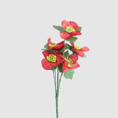 Poppy Bush Asstd Box of 60