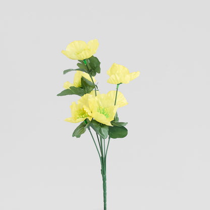 Poppy Bush Asstd Box of 60
