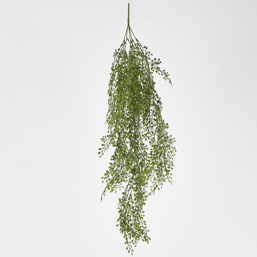 Hanging Boxwood Light Green