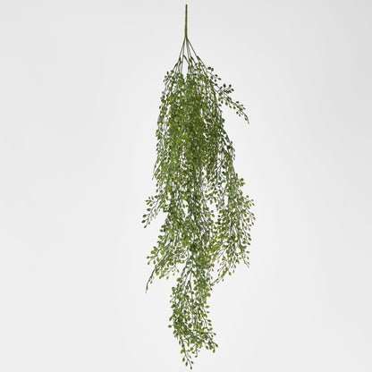 Hanging Boxwood Light Green