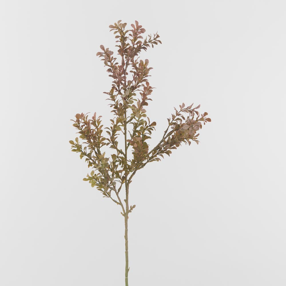 Boxwood Leaf Spray Peach