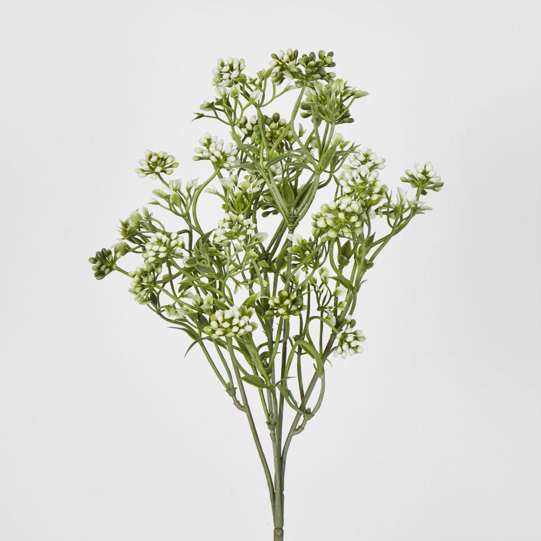Badassi Bush Green