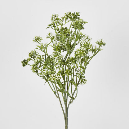 Badassi Bush Green