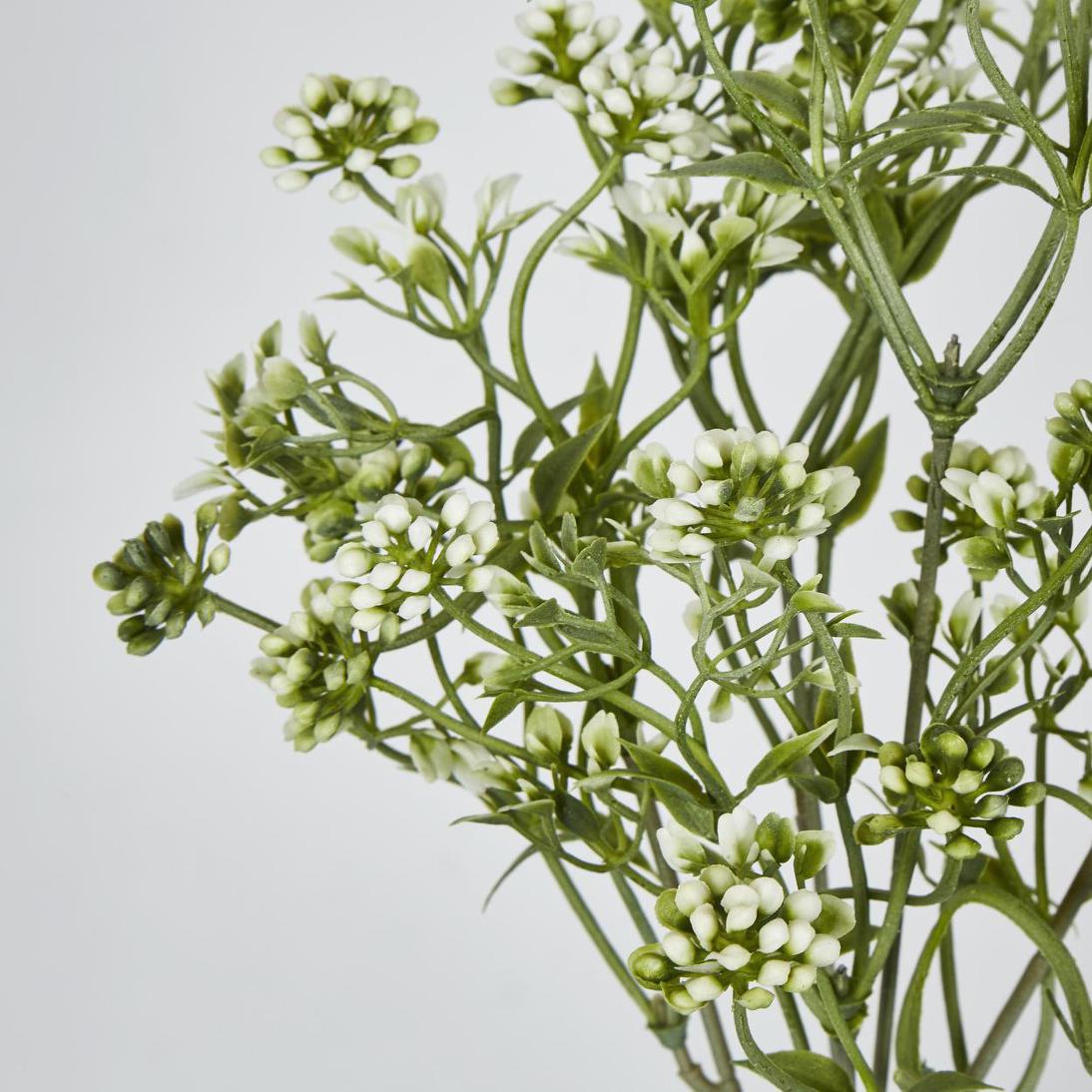 Badassi Bush Green