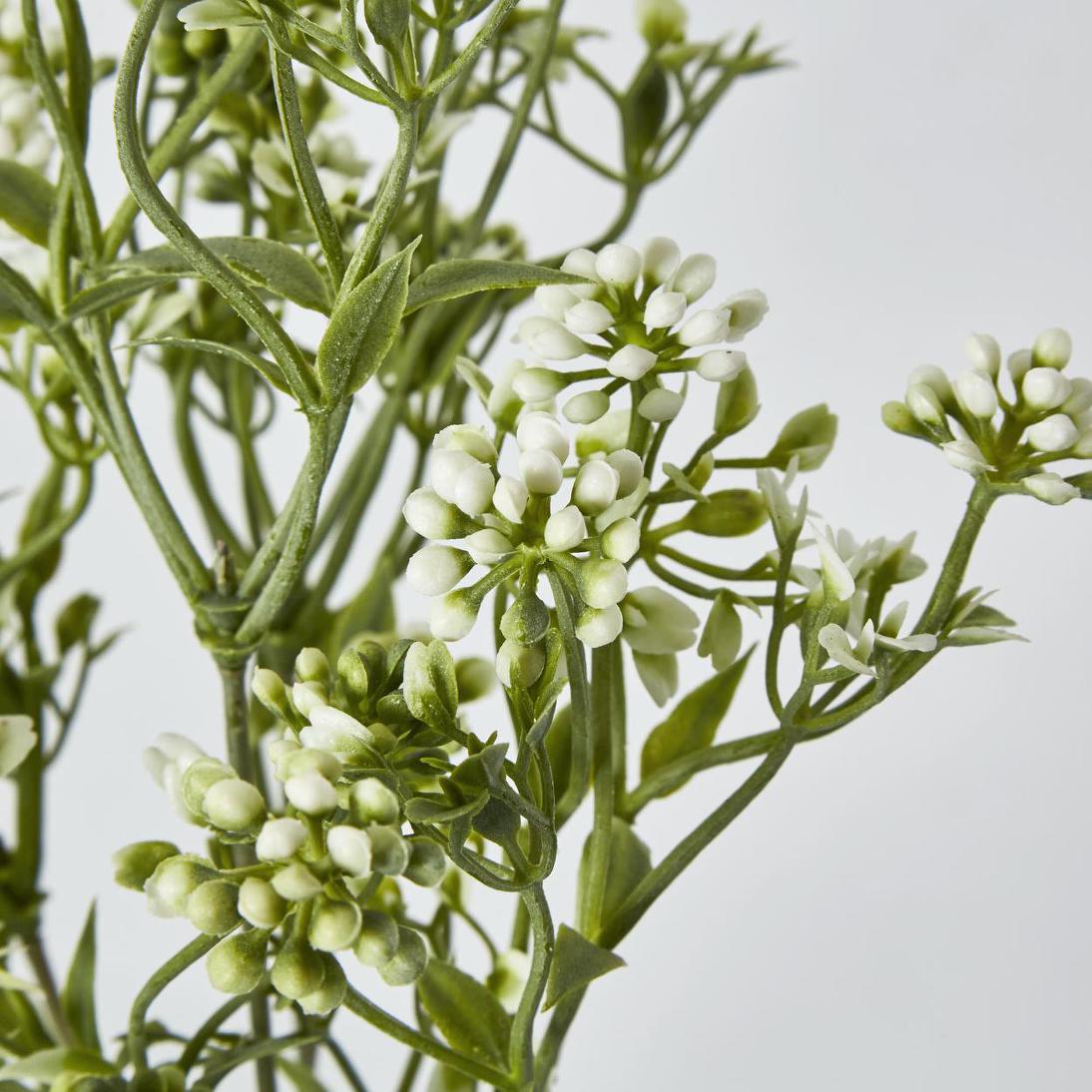 Badassi Bush Green